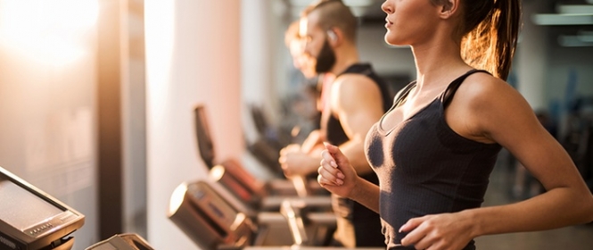 Fitness
